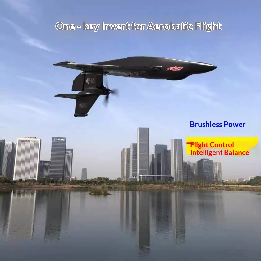 طائرة تحكم عن بعد 6CH H650 راب - مراجعة Rc Glider Foam Wing وسعره